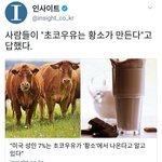 미국인들이 얼마나 멍청한지 아냐