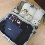 [댓글부탁해] <b>위탁</b>간다는게 뭔 뜻이야??