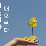 세월호를 잊지 말자!