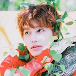 [NCT] 탤이 닮은 <b>연옌</b>