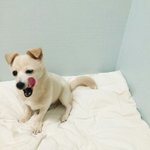 콧대 낮은 애덜은 <b>미간</b> 뼈 눌러라...