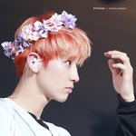 [EXO] 그럼 이<b>머리</b>야??