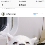 [댓글부탁해] 친구가 <b>액정</b>깨먹었는데 어떡해야되냐