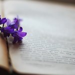 [성경 세미나] 요즘 핫한 유튜브 영상, 창세기 뱀의 정체는??