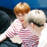 [박지훈] 얘들아 인별에 사생 영상 뜬거