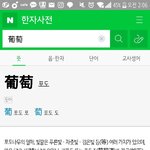 [EXO] 니네 <b>포도</b>가 한자인거 아냐