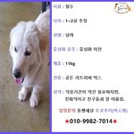 반려견에서 순식간에 뜬장이라는 가혹한 운명에 놓였던 <b>철수</b>