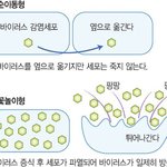 배아파 흑흑