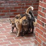 <b>내</b>가 진짜 <b>돈</b> 필요해서 알바하려는데ㅜㅜㅜ