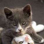 나도 여친<b>사</b><b>겨</b>서 겁나 하고싶다