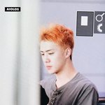 [EXO] 이거 오세훈누구 생각나지않음??