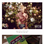 <b>snl</b> 미쿡남자 로이킴