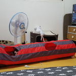 [고양이] 캣초딩 코<b>복이</b>를 소개합니다: D 5