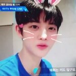 [워너원] <b>진영</b>이 토끼보고 진정하자...
