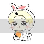 [세븐틴] 나눔질문이요ㅜㅠ!