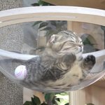 [<b>급</b>해용] 얘드라 이거 사기같은데 도와줘