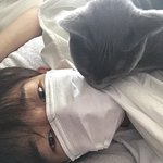 [댓글부탁해] 피피티 테마 어떻게 <b>적용</b>함 ㅅ뷰ㅠㅠㅠㅠㅠㅠㅠㅠ