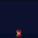 나 <b>동호</b>팬인데 다들 좀 들어와봐.