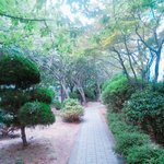 [댓글부탁해] 우리 <b>하교</b>길 사진 올리자