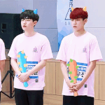 [워너원] 워너원 도깨<b>비즈</b>