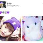 [시우민] (시우민)둘이 누가 더 귀여운지 대결하는 거야?