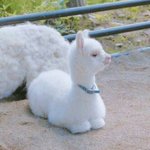 [임영민] 영민시❤