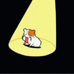[10대의성] 몸매 좋은거 너무 힘들어