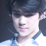 [EXO] 세훈이 왜그렇게 쳐다봐 고냥이같이