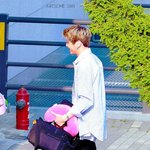 [워너원] 강<b>사모예드</b> 등빨에 치이기