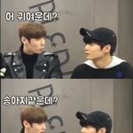 [워너원] 이거 <b>황제</b> 개설램ㅋㅋㅋㅋ