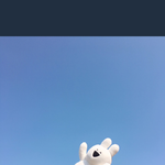 [세븐틴] ㅅㄷ 콘서트갈까말까 ㅠㅠㅠ <b>조언</b>부탁해