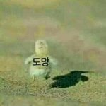 친구들한테 가족얘기하는거 부끄러워