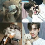 [워너원] <b>대휘</b>팬들아 머랑둥이 안 좋은뜻이야?
