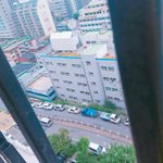 요즘 인생 재밌는거 <b>히나</b>도 없어
