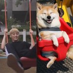 [워너원] <b>황민현</b>,,, 얘들아 이건 봐야돼,,