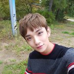 [세븐틴] 세븐틴 <b>덕</b>질할때마다 놀라는게