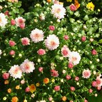 [조언부탁해] 약혐주의 <b>미방</b>)손에 물집같은거 생겼는데ㅜㅜ