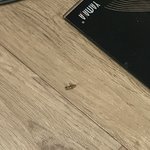 [EXO] 이거 <b>바퀴</b>맞지?