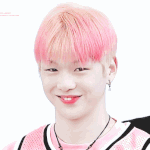 [워너원] 다녤 <b>갭</b>차이 봤냐