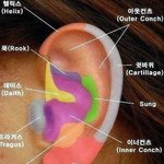 <b>요기</b> 중에서 피어싱 어따할까