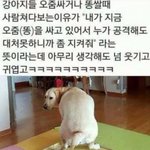 니네 ㅈㄴ 특이한버릇있냐