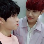 [워너원] 아ㅠㅠㅜ이거 바구진 괘설뤠ㅜㅜㅜㅜㅜ