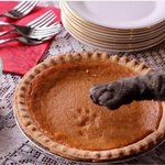 [시우민] 이거 우리 슈냥이 손 맞지?ㅋㅋㅋㅋ