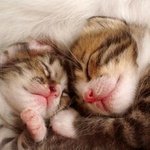 <b>난쟁이</b>만나서 행복해지고싶다..