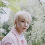 [세븐틴] ㅅㄷ)셉나잇 해!