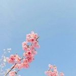 [EXO] 첫사랑에게