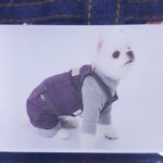 [조언부탁해] 얘들아 꼭들어와줘..