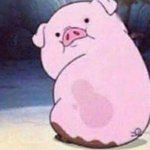 [댓글부탁해] <b>숏컷</b> 했다고 동성애자 발언 들음