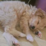 [댓글부탁해] 나는 꿈이 승무원인데 <b>멀미</b>를 해