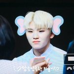 [세븐틴] 아기 <b>코끼리</b> 지훈이